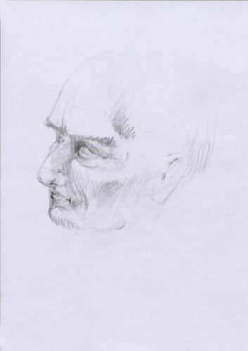 Kopf eines älteren Mannes