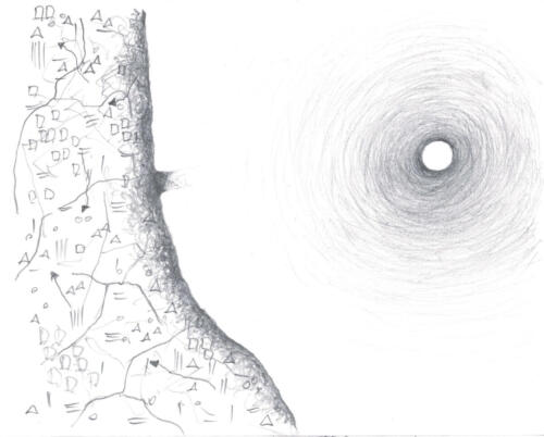 11. Die goldenen Äpfel der Hesperiden