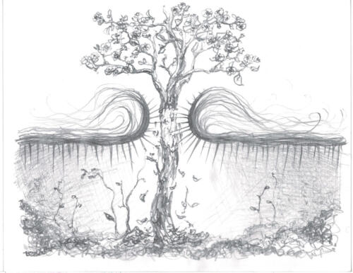 1. Der Nemeische Löwe