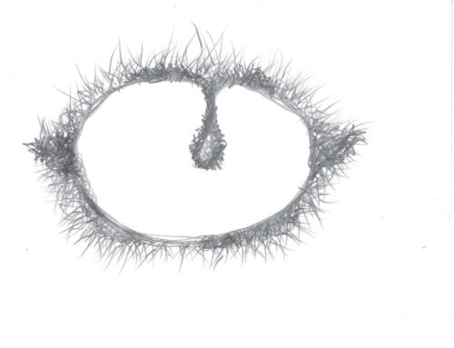 10. Die Rinder des Gerion