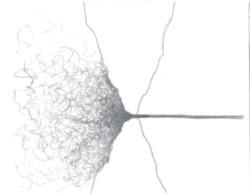 7. Der Kretische Stier